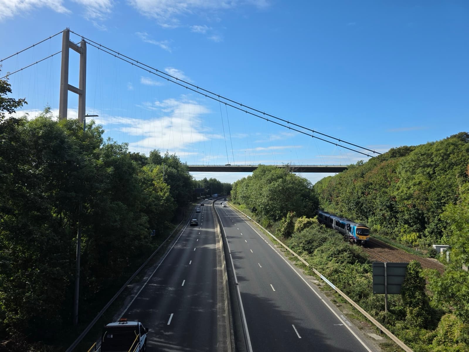 A suspension bridge tower over a road through trees