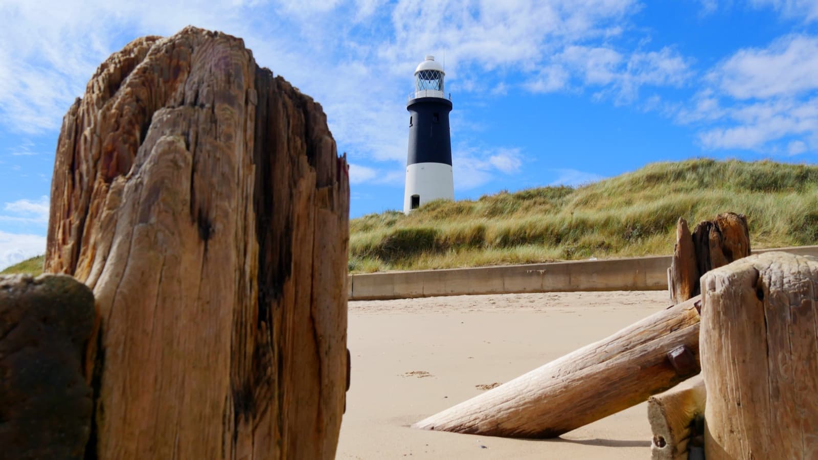A black-and-white lighthouse above sand dunes, driftwood in front