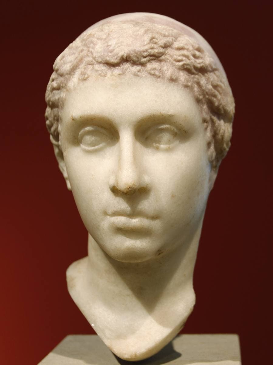 A marble head of a young woman with hair drawn back in a bun