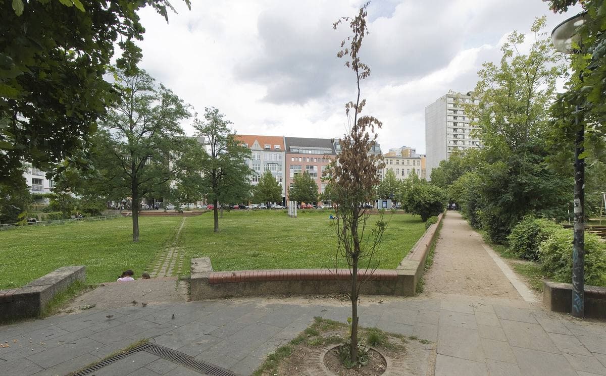 A green park with young trees and paths between pale apartment blocks