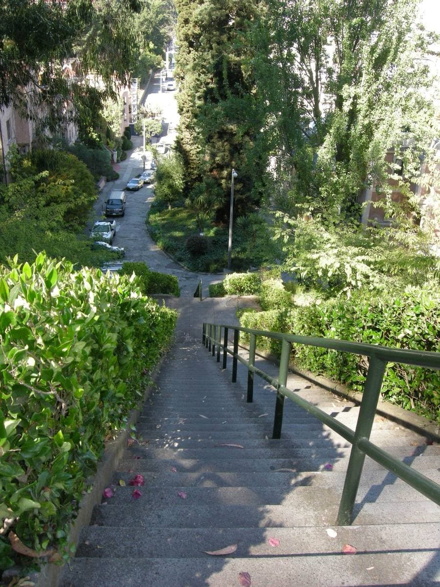 Steps descending between clipped hedges and trees