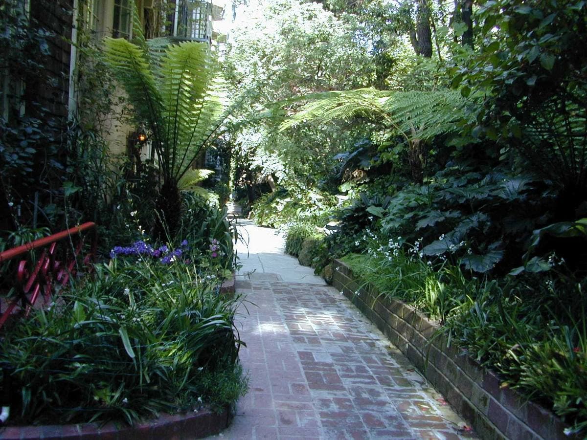 A brick footpath through dense green gardens on Macondray Lane