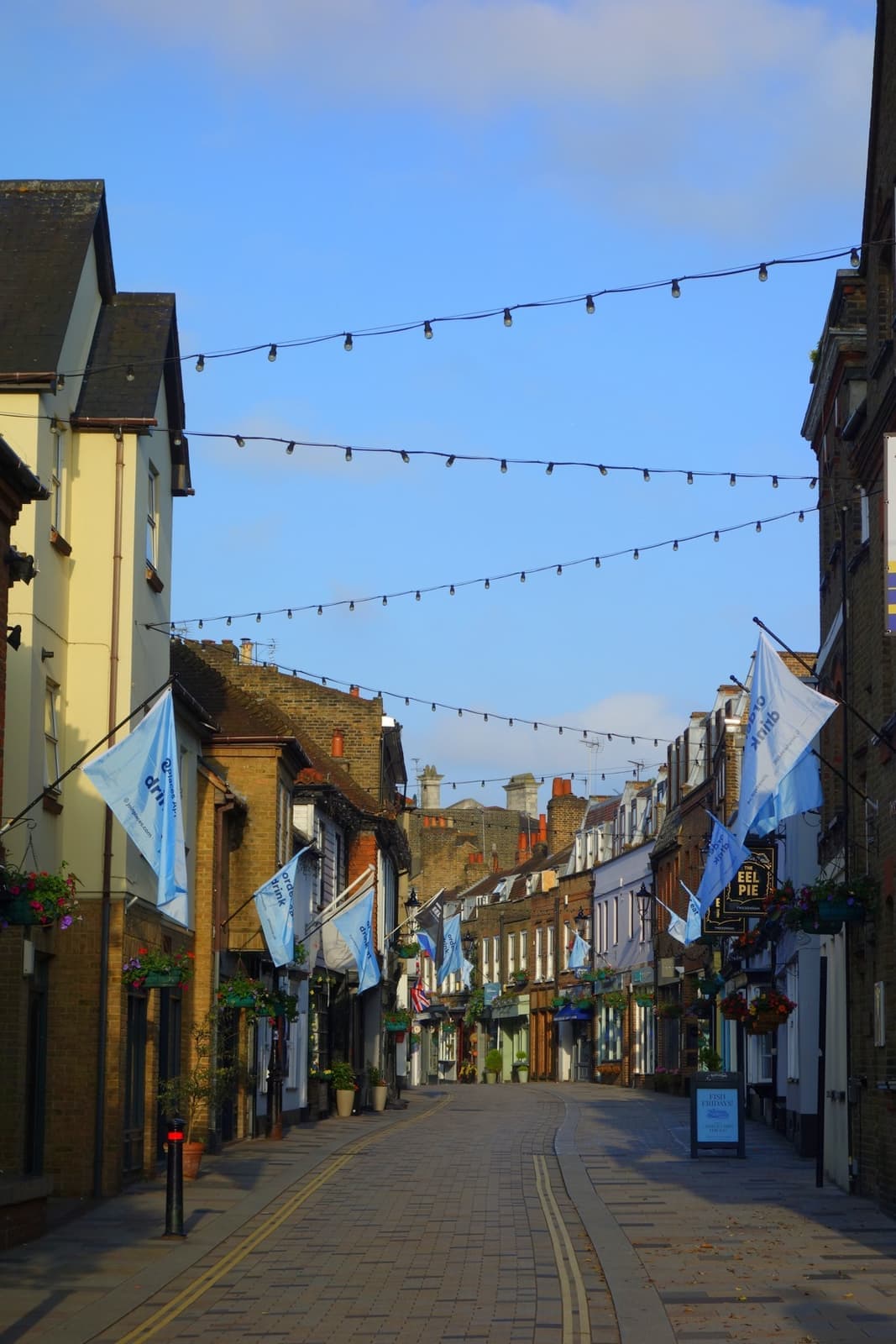 A narrow street of low old shopfronts with bunting strung overhead under a blue sky