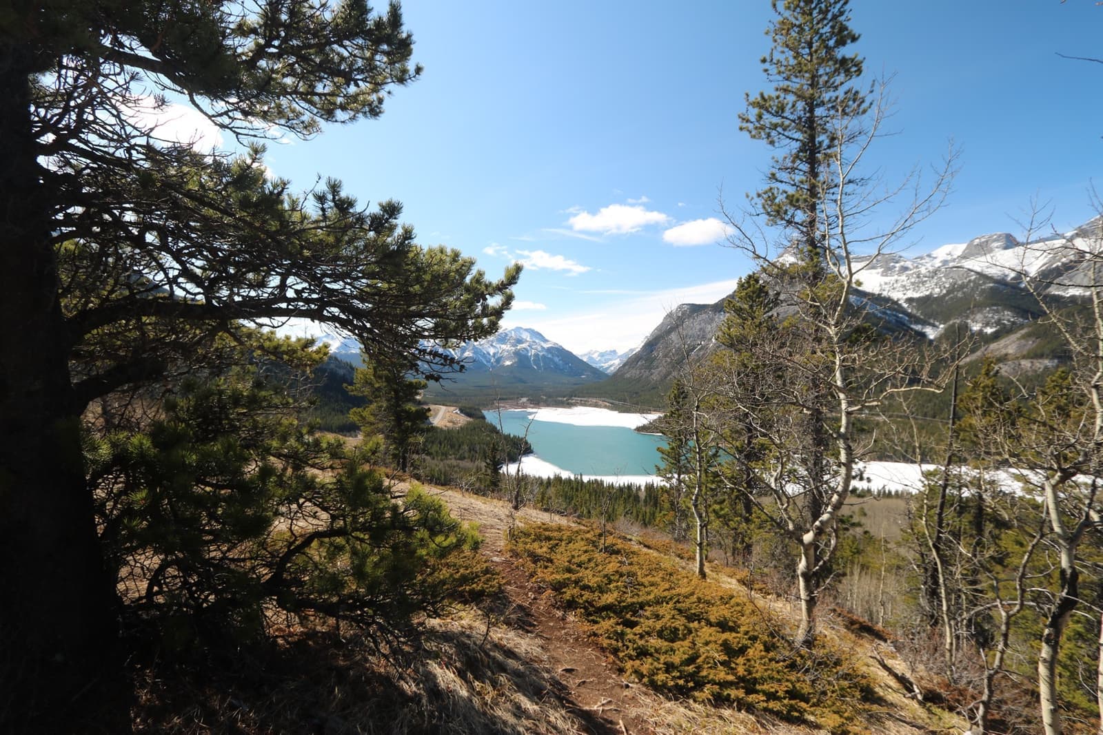 A turquoise lake far below a pine-covered hillside, mountains beyond