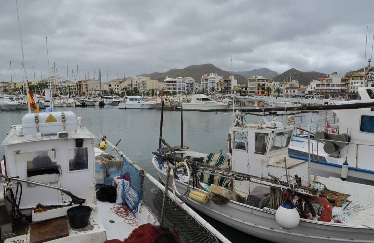 Boats in a calm harbour with mountains behind