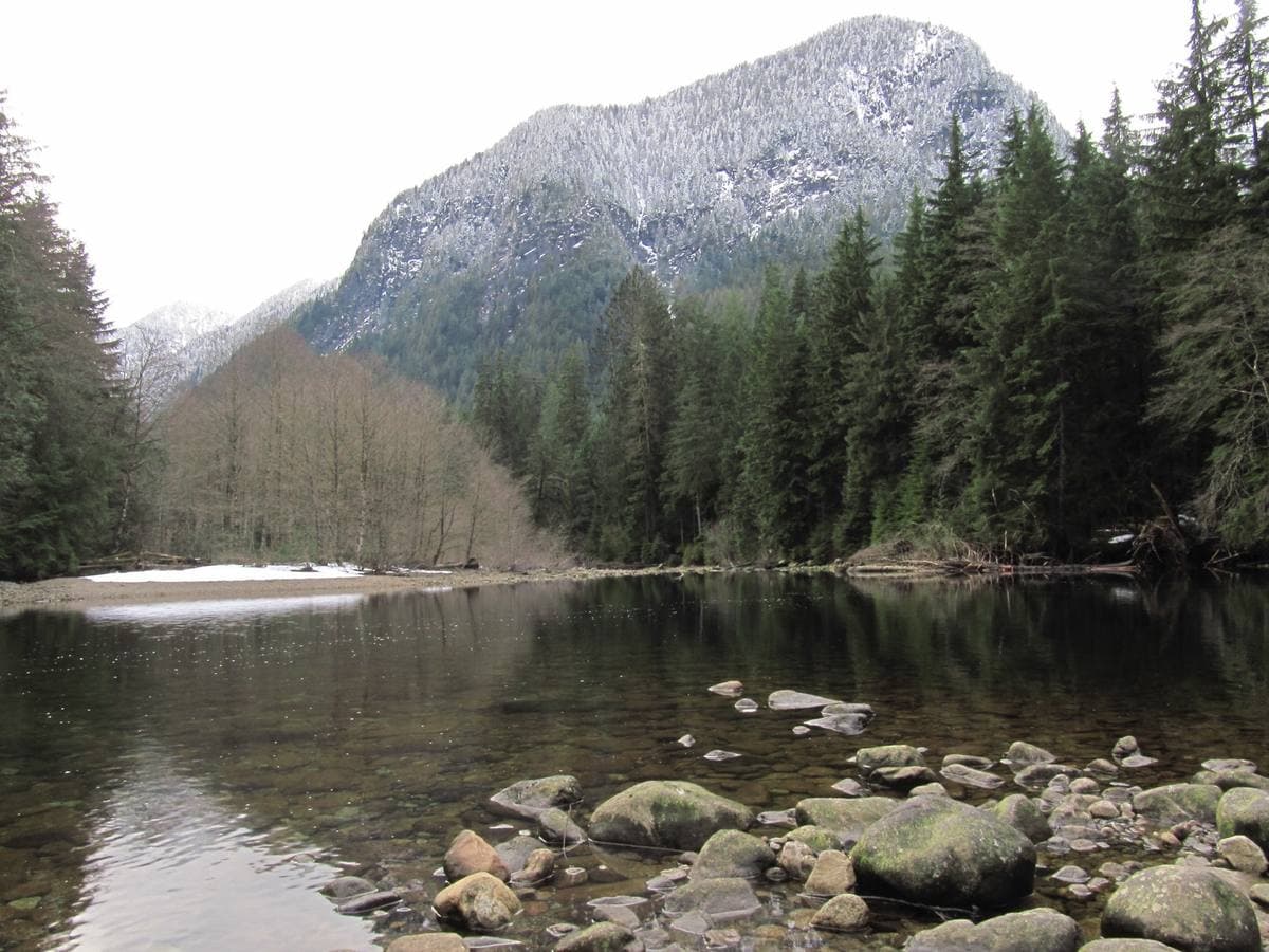 A rocky river running between mossy rainforest banks