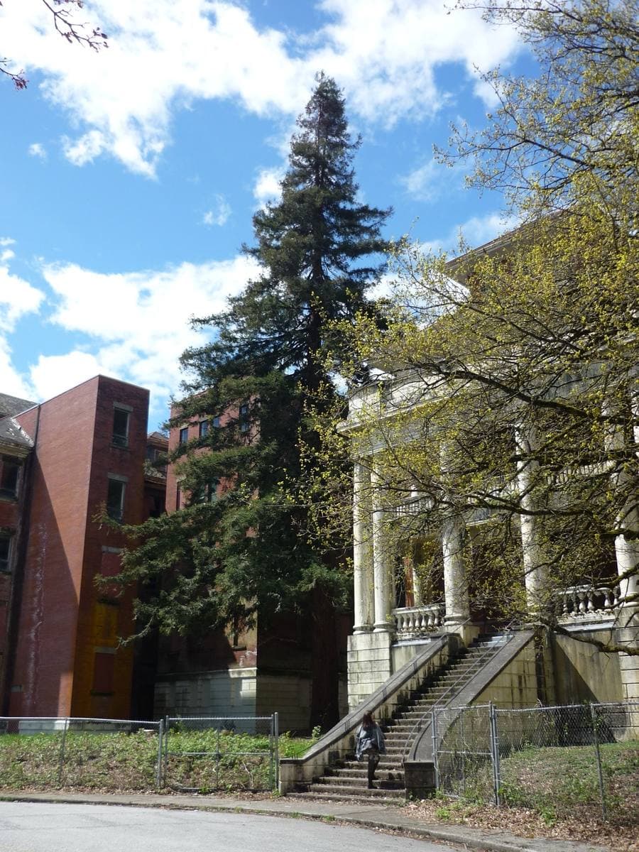A long, empty institutional building with rows of windows behind a lawn