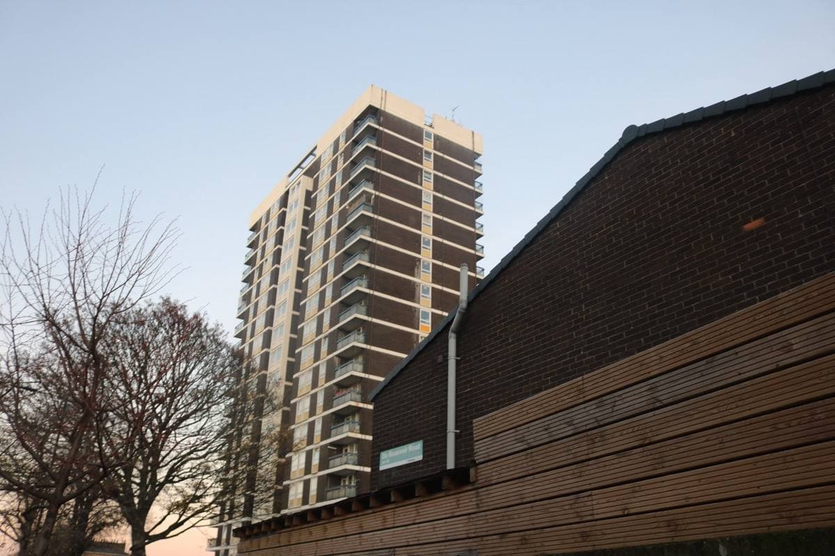 Brick and concrete blocks of flats with balconies and bare winter trees