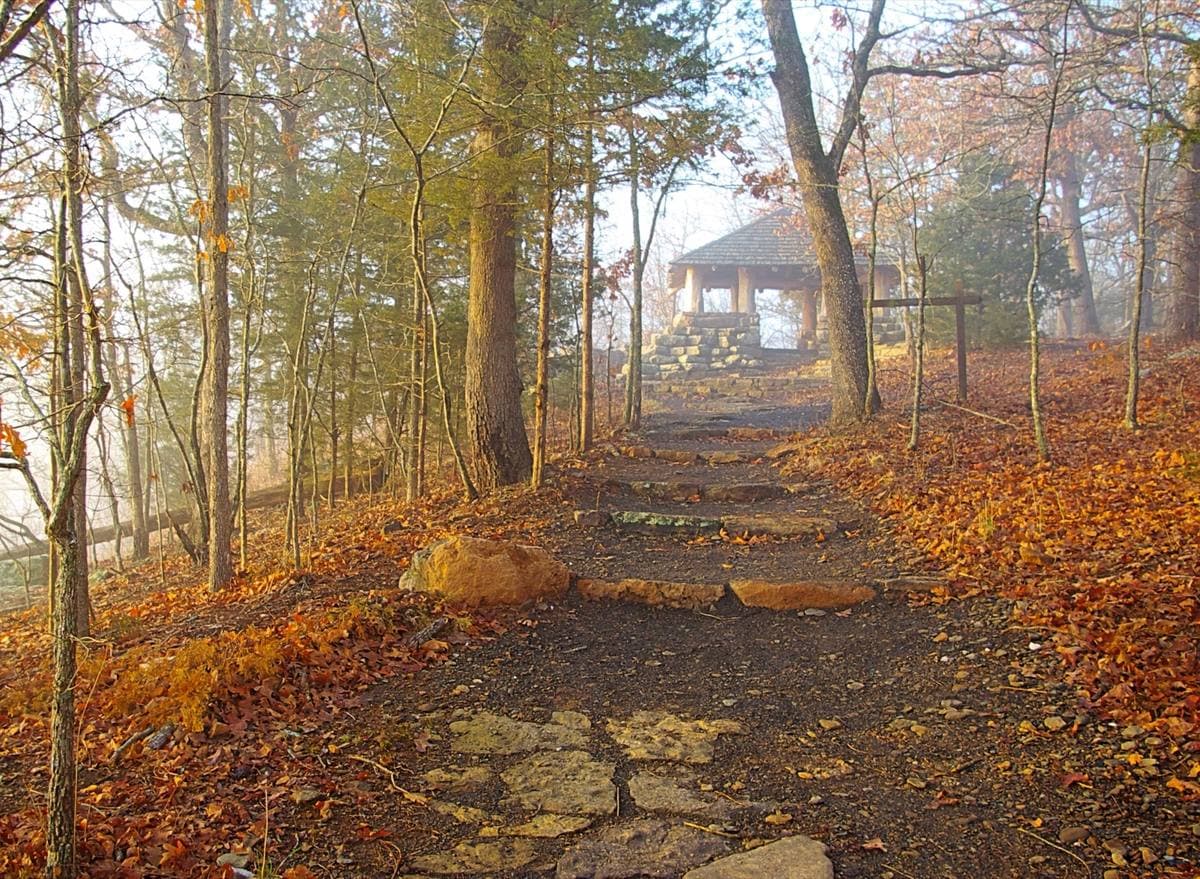 A stone path through autumn woods to a stone shelter in mist