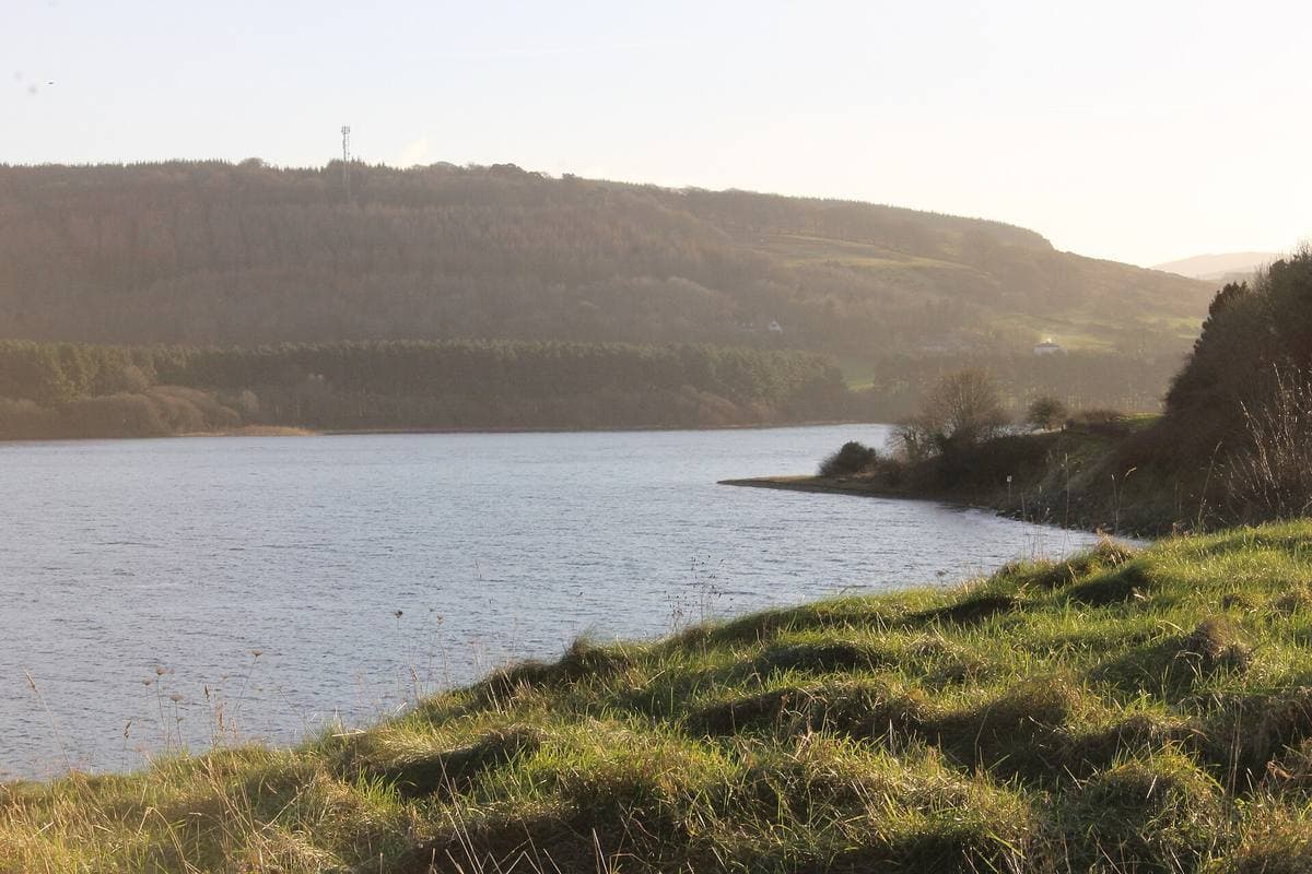 A calm reservoir with a wooded hill behind and grass in the foreground