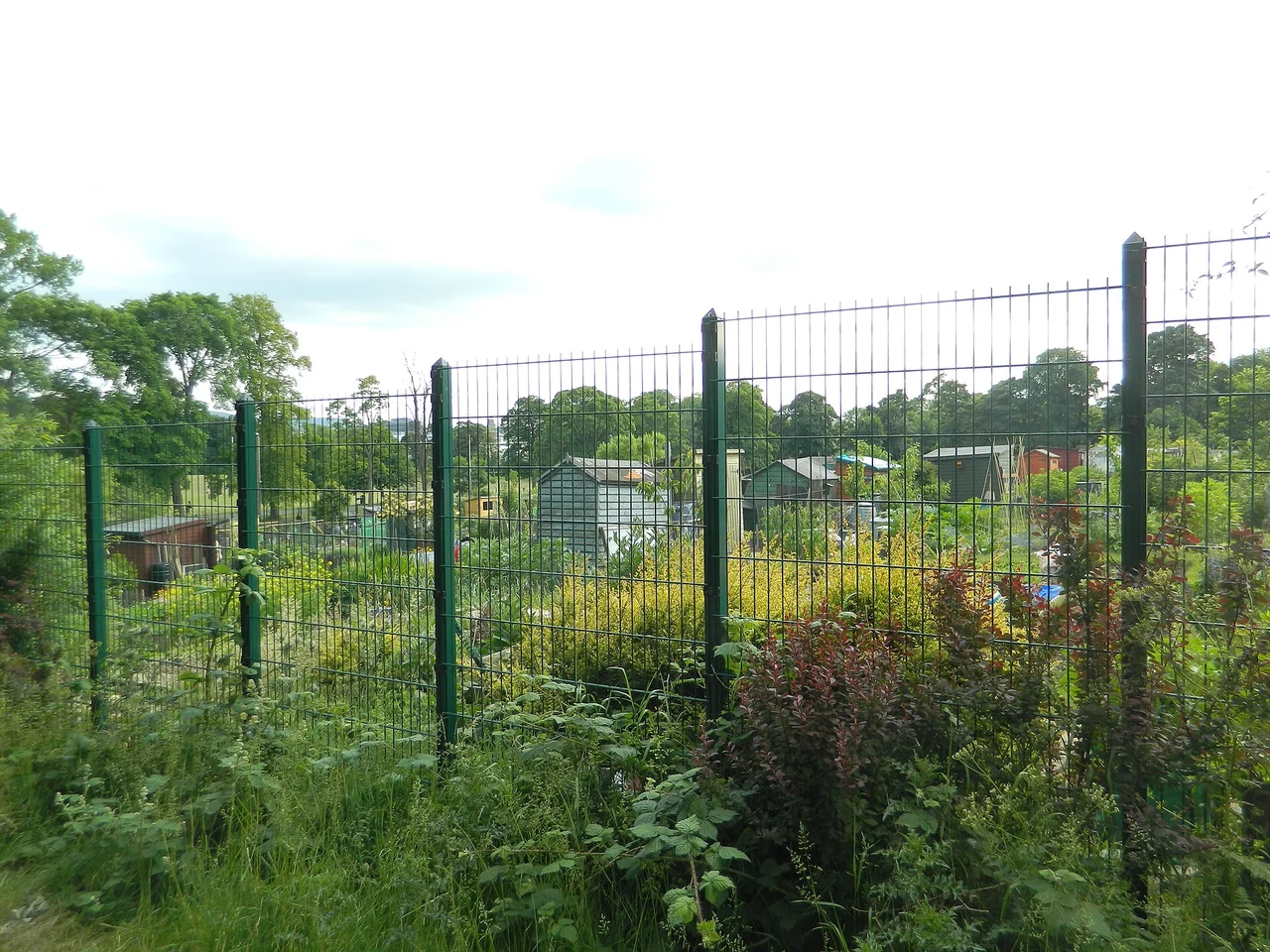 View of Allotments within Inverleith Park — park context