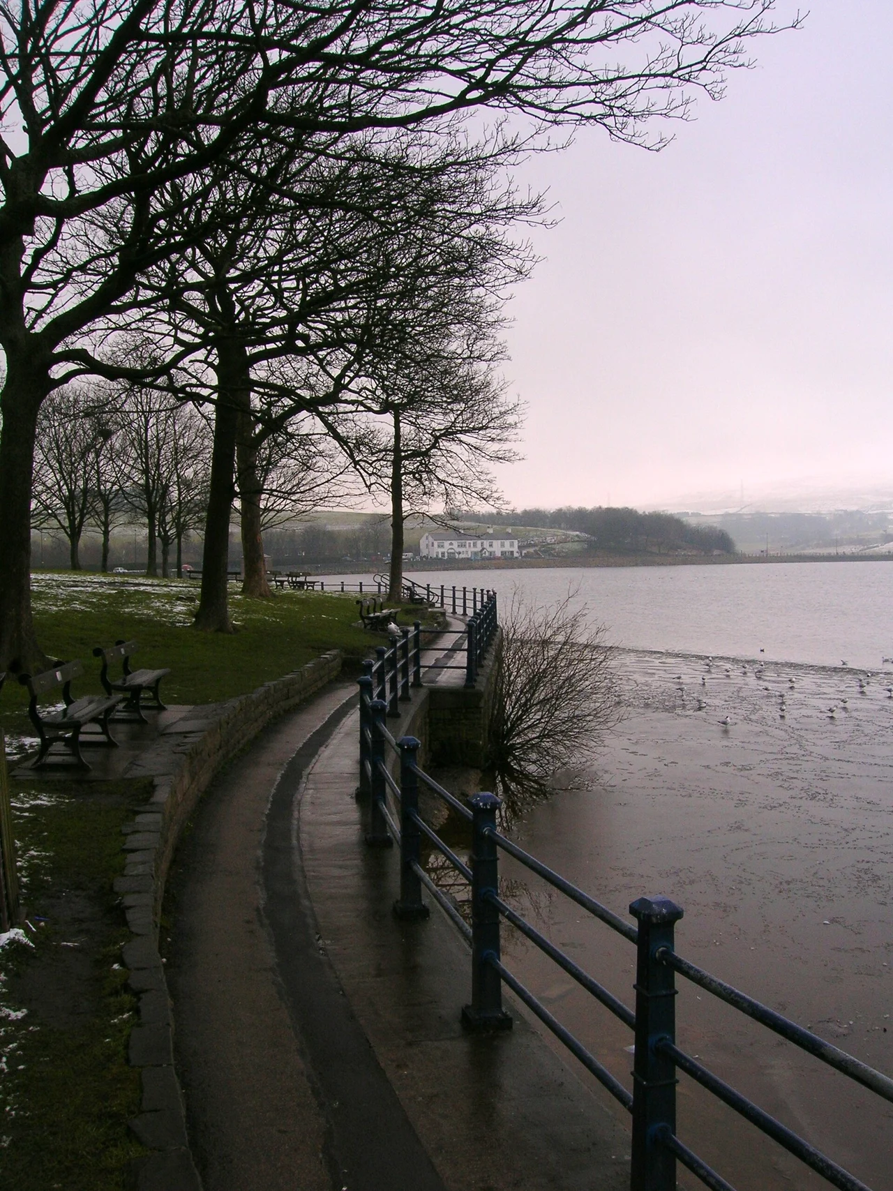 Lakeside promenade, trees and water at Hollingworth Lake