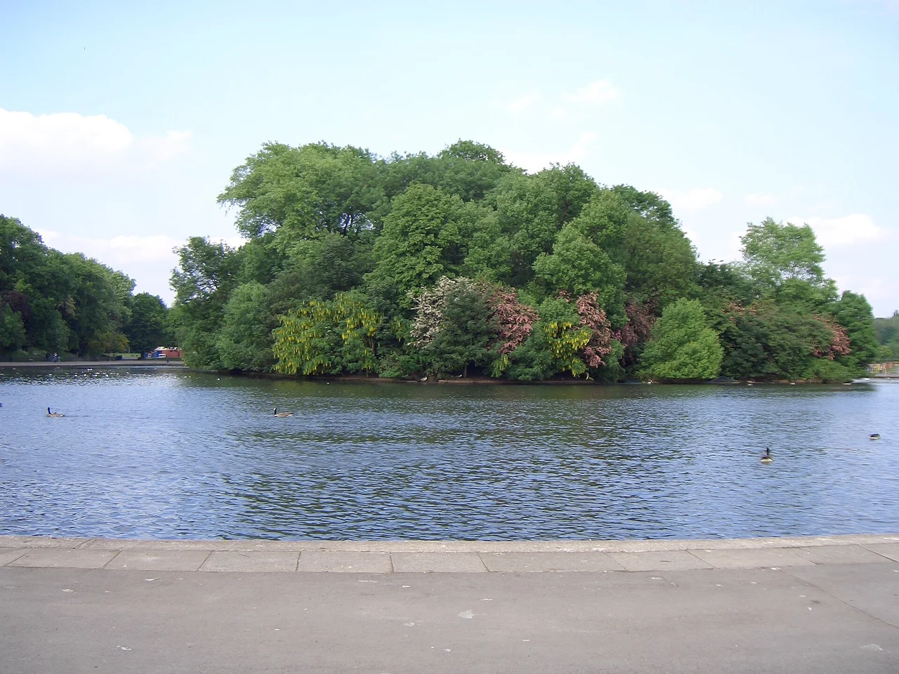 Platt Fields Park lake and wooded island, photographed in 2004