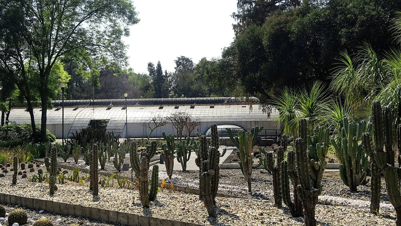 View of Jardín Botánico de Chapultepec