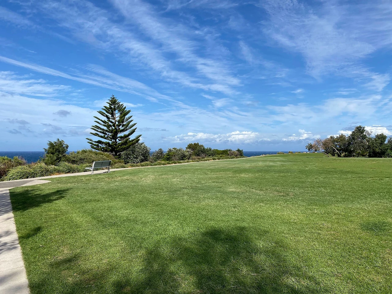 Open lawn and ocean horizon at Marks Park