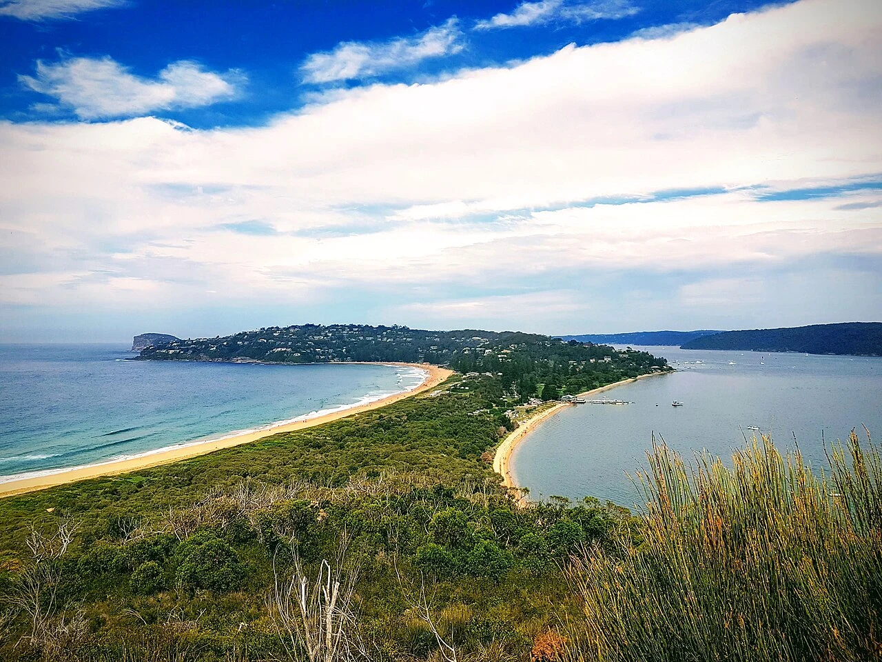 Palm Beach peninsula, ocean beach and Pittwater seen from an elevated viewpoint