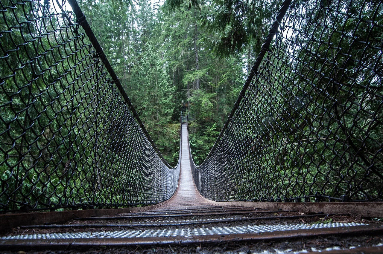 View of Lynn Canyon Suspension Bridge