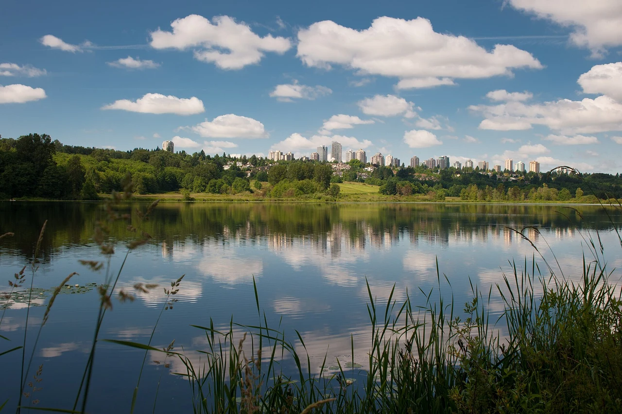 Deer Lake in Burnaby, with reeds, reflected clouds and distant buildings