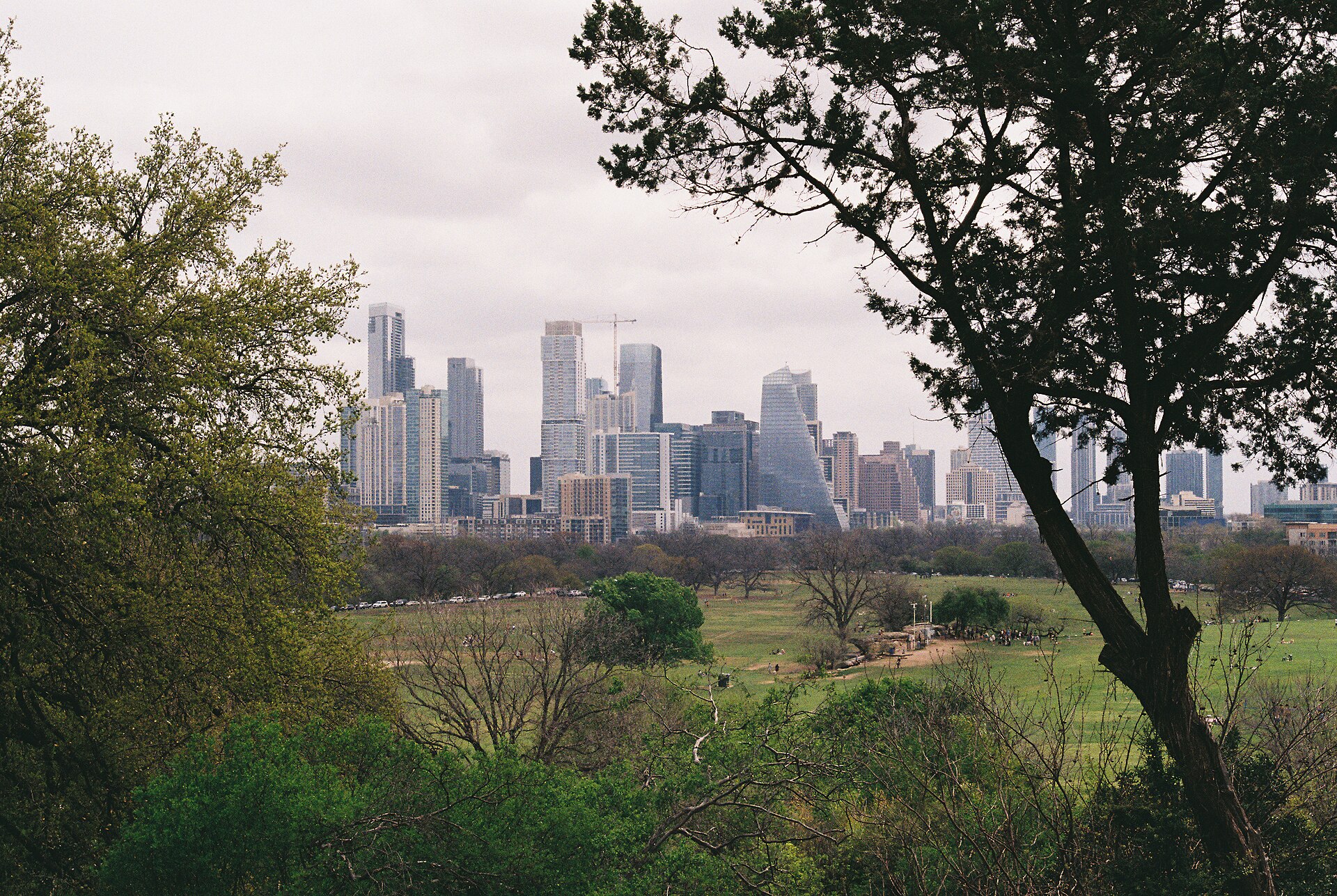 Austin Texas skyline as seen from Zilker Botanical Gardens