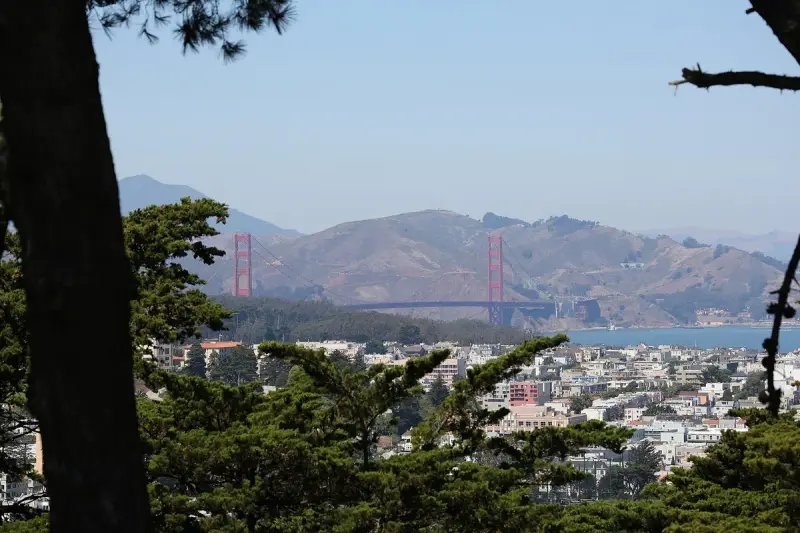 Buena Vista Park in san francisco