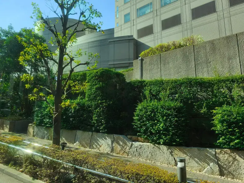 visionary arts in tokyo