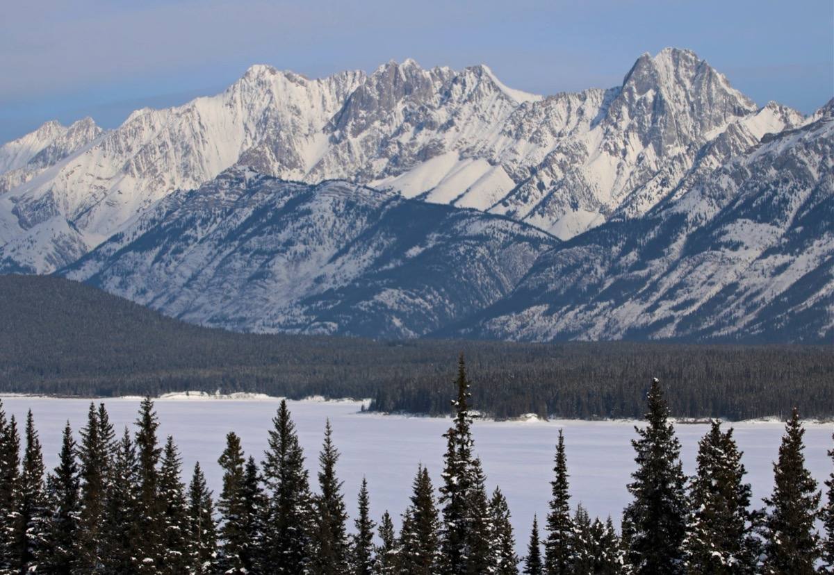 A row of sharp grey peaks dusted with snow above dark forest