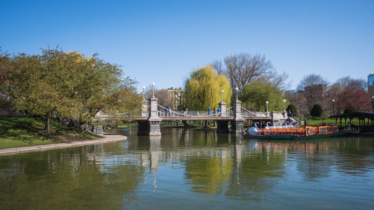 The suspension footbridge over the Public Garden lagoon, with willows and blue sky reflected in the water