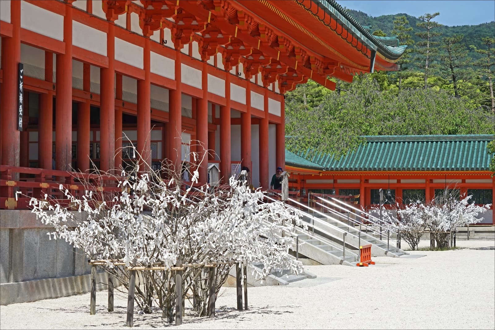 Racks white with knotted paper fortunes in front of a vermilion shrine hall