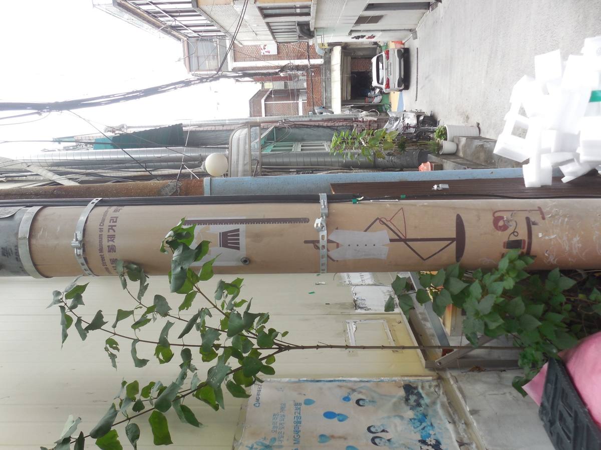 Colour photograph of a narrow alley between houses, a painted utility pole in front
