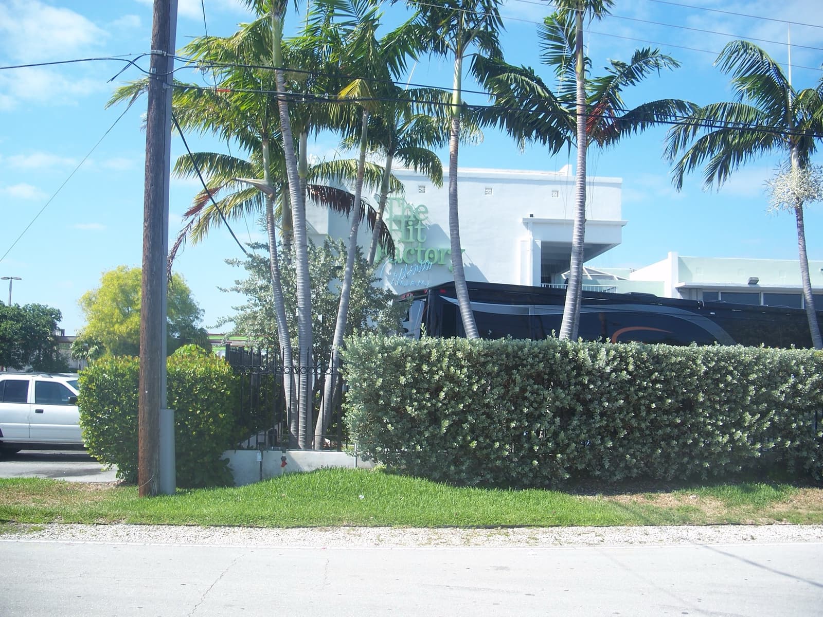 A low modern studio building behind palm trees and a clipped hedge