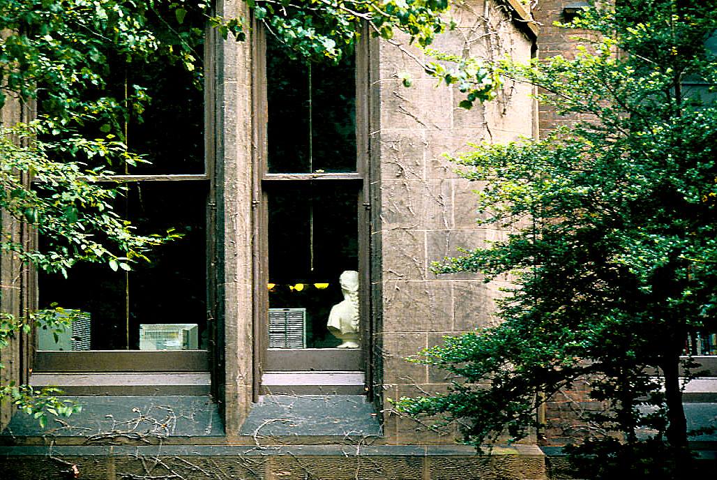 An old sash window in a stone wall half hidden by leaves, Fulton Street, 1997