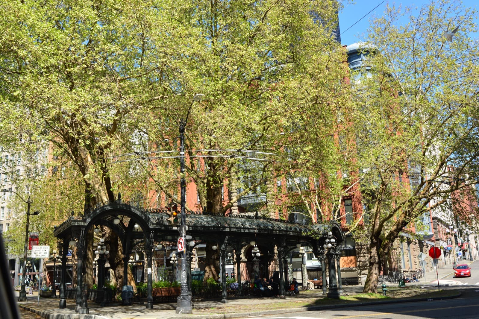 An ornate black iron pergola under spring trees in Pioneer Square