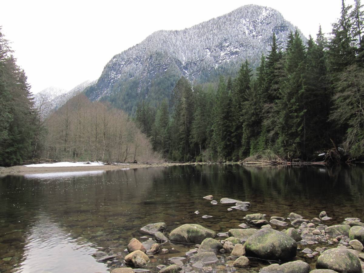 A rocky river running between mossy rainforest banks