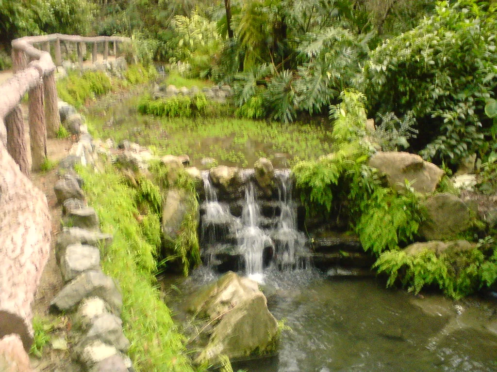 A shaded path and small waterfall in Fern Dell.