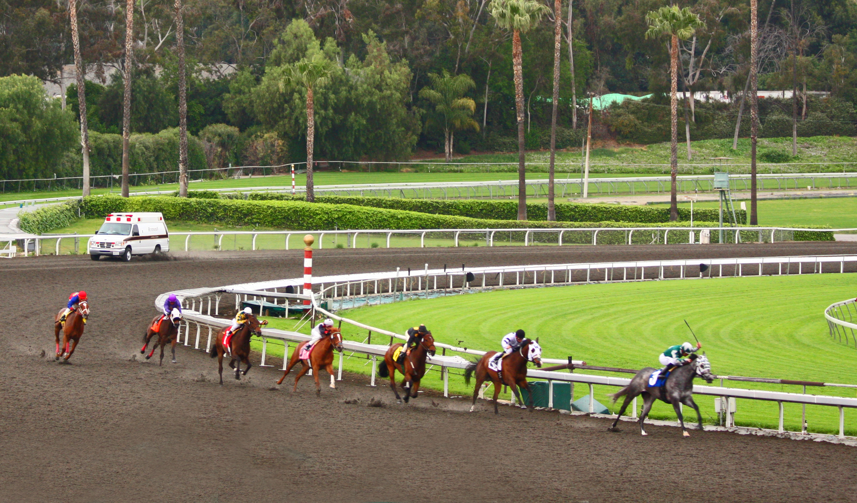 Location photograph of Santa Anita Park
