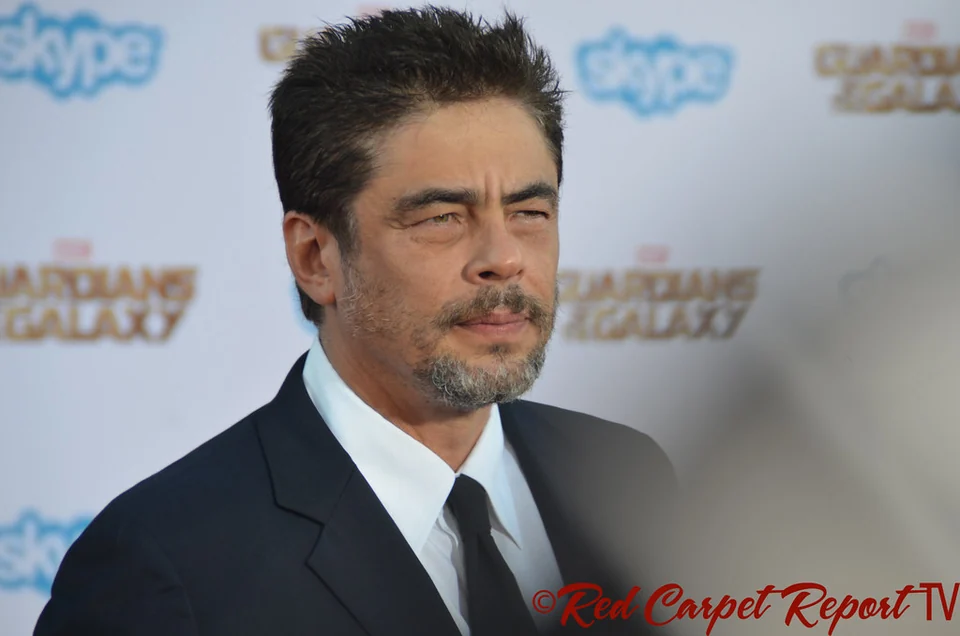 Benicio del Toro