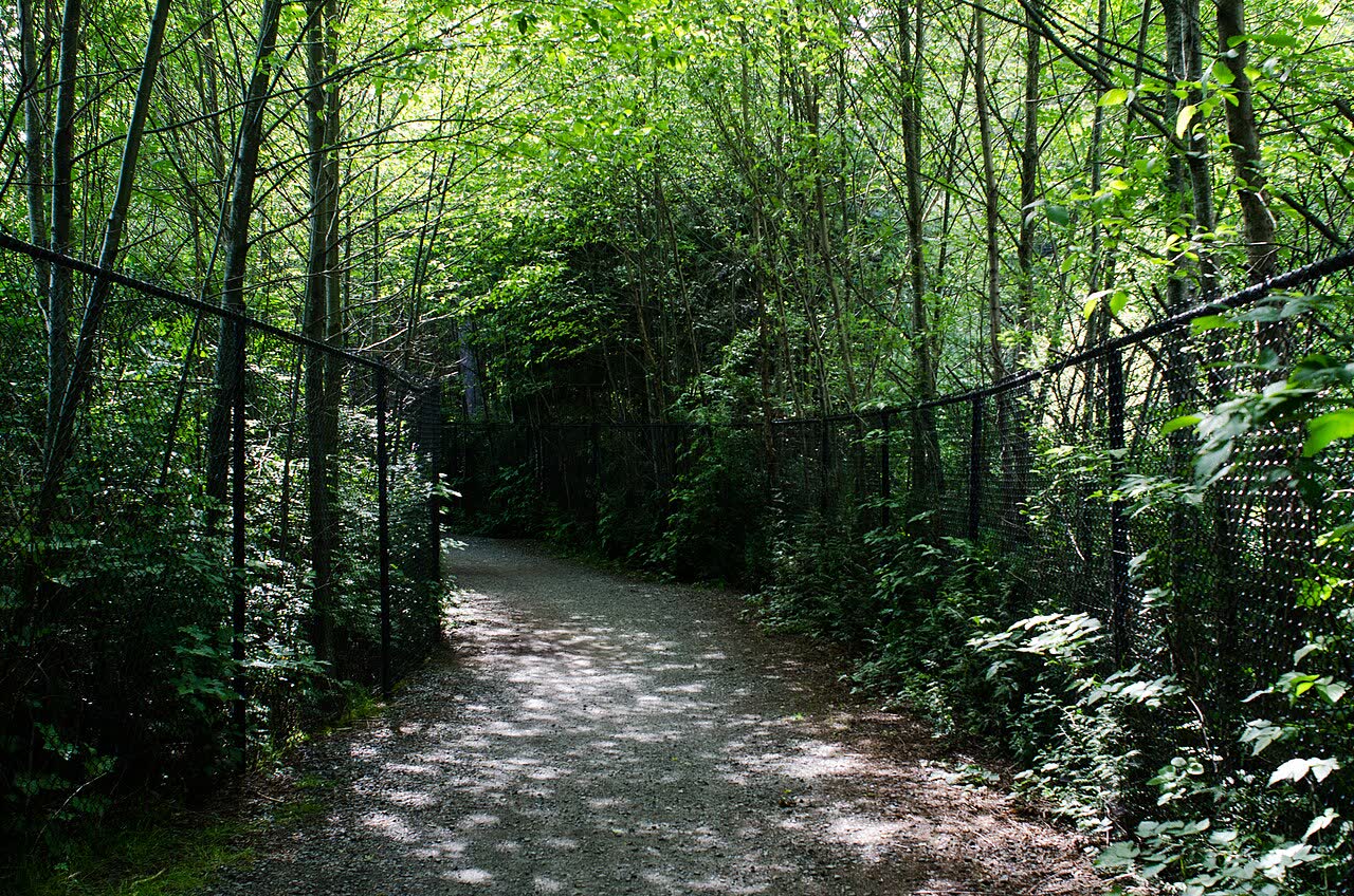 Homestead Trail - panoramio